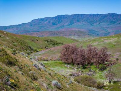 106XX Timber Butte Rd, Sweet, ID, 83670