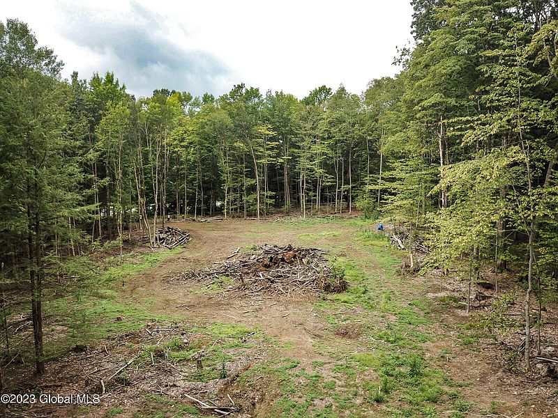 3rd image of L55 Nys Rt 29