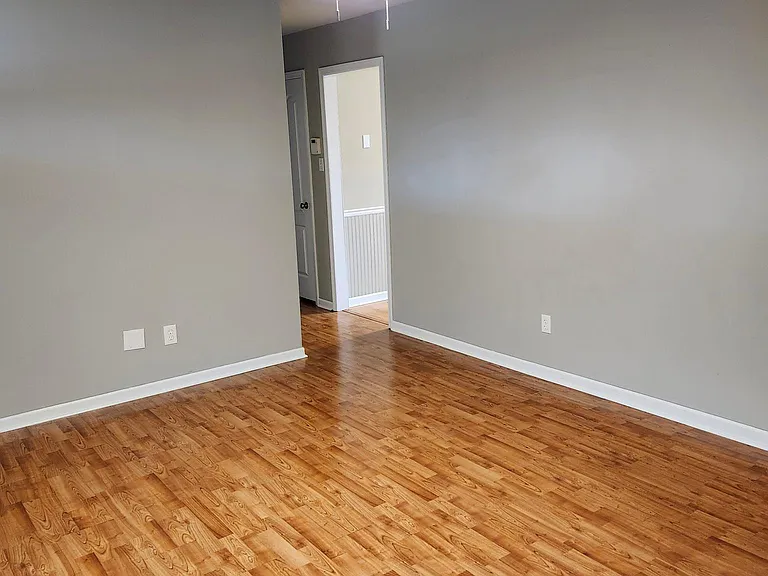 Living Room: spacious, clean, blinds, lots of light, new fan, laminate flooring