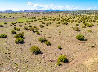 County Road 5106 LOT 1, Concho, AZ 85924