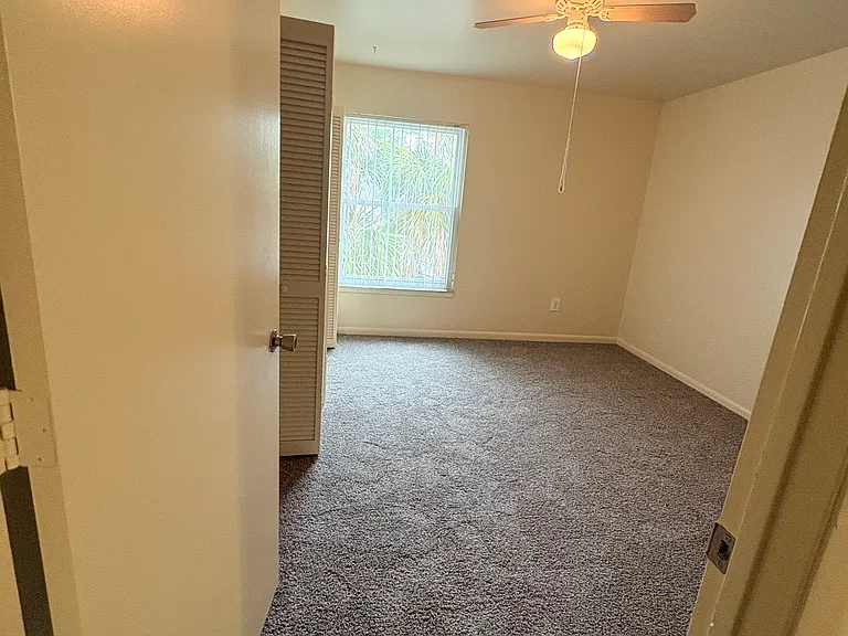 319 Balfour Dr #807 — Photo 11