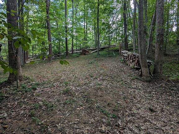 3rd image of Burton Lake Rd