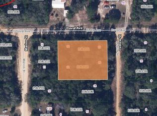 Ladlow St LOT 12, Interlachen, FL 32148