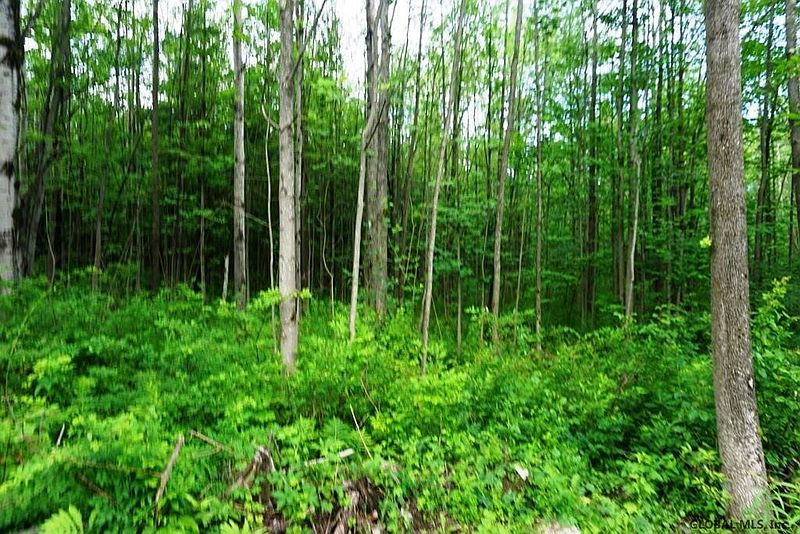 2nd image of MOUNTAIN CREST Road