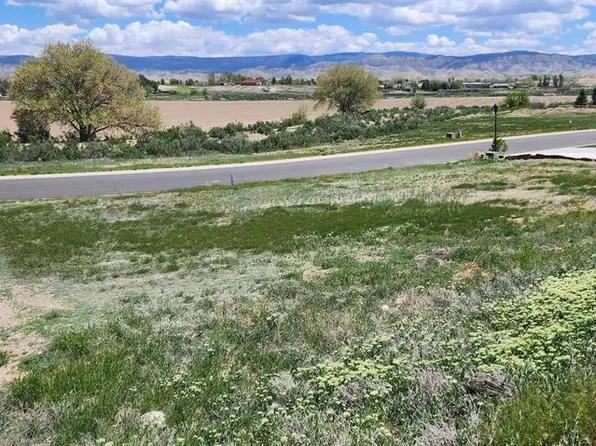 4117 Waterfall Drive, Montrose, CO 81403