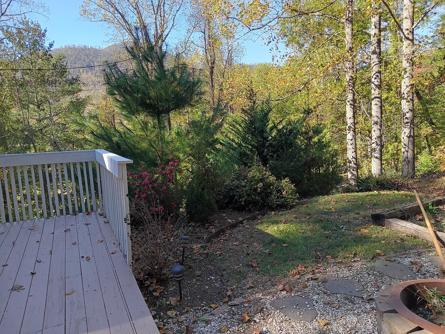 Jones Cove Rd, Asheville — Photo 4
