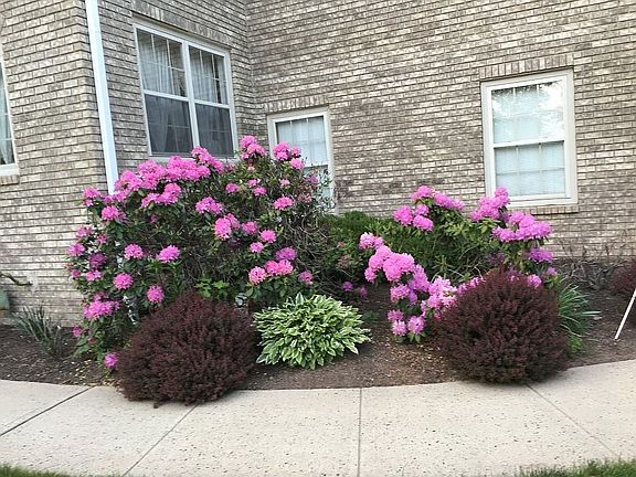 Driveway to Entrance