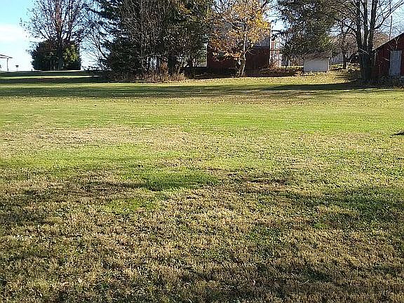 back yard