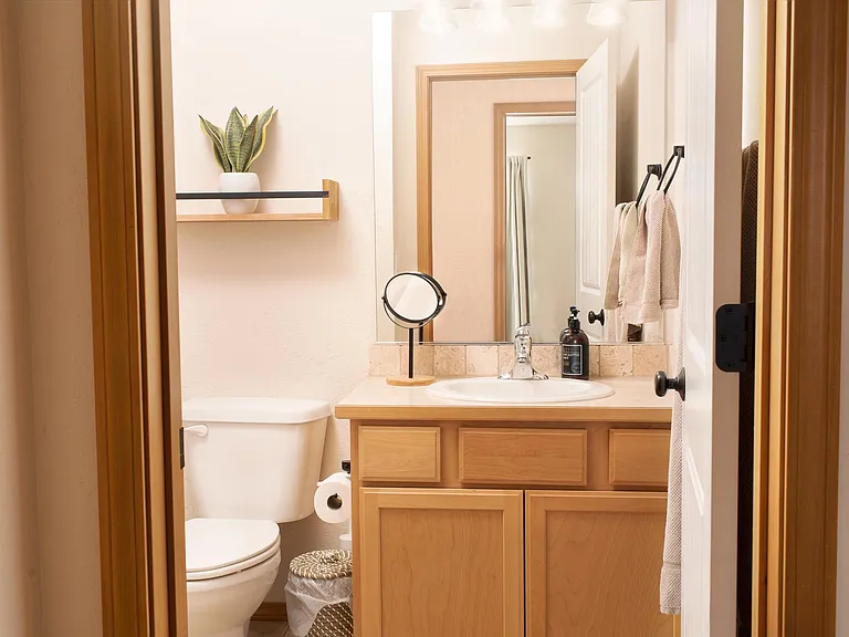 Hall Bathroom - Full Shower and tub. Dual Shower head with hand-held option. New floor in Dec 2023