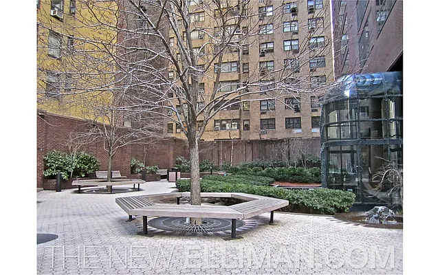 Rented by Douglas Elliman | media 2