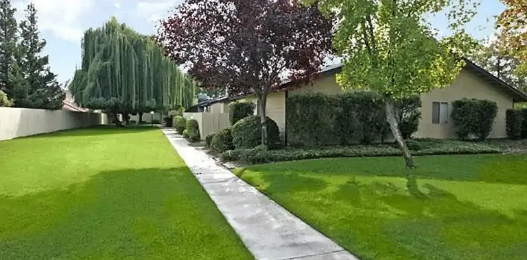 Maple Leaf Apartments — Photo 10