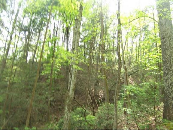 4th image of 0 Tarpine Valley Dobson Hollow Ln