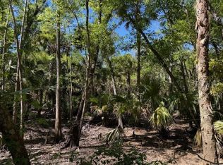 Lake Harney Rd, Osteen, FL 32764