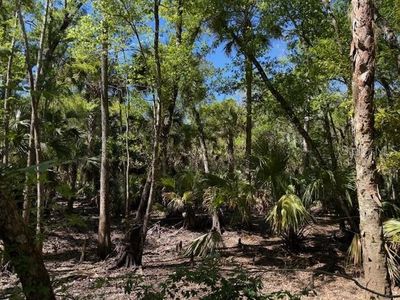 Lake Harney Rd, Osteen, FL, 32764