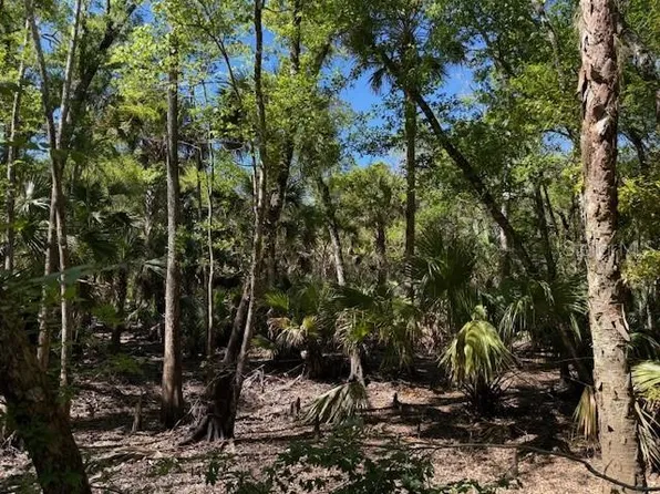 Lake Harney Rd, Osteen, FL 32764