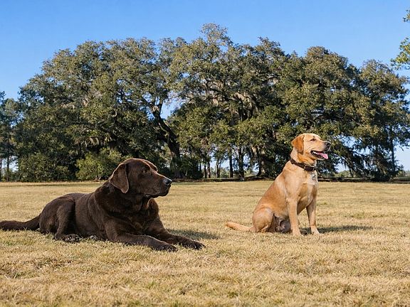 3rd image of 9283 Tallokas Rd