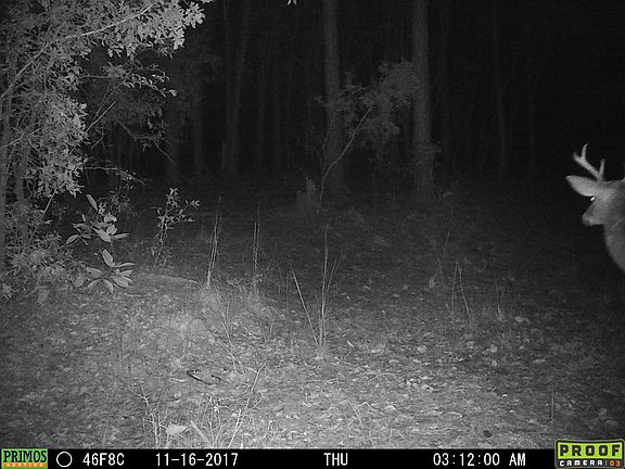 5th image of Deep Creek Plantation Settindown Dr