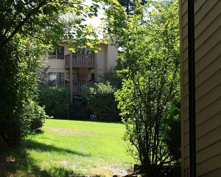 Willow Creek Apartments — Photo 27