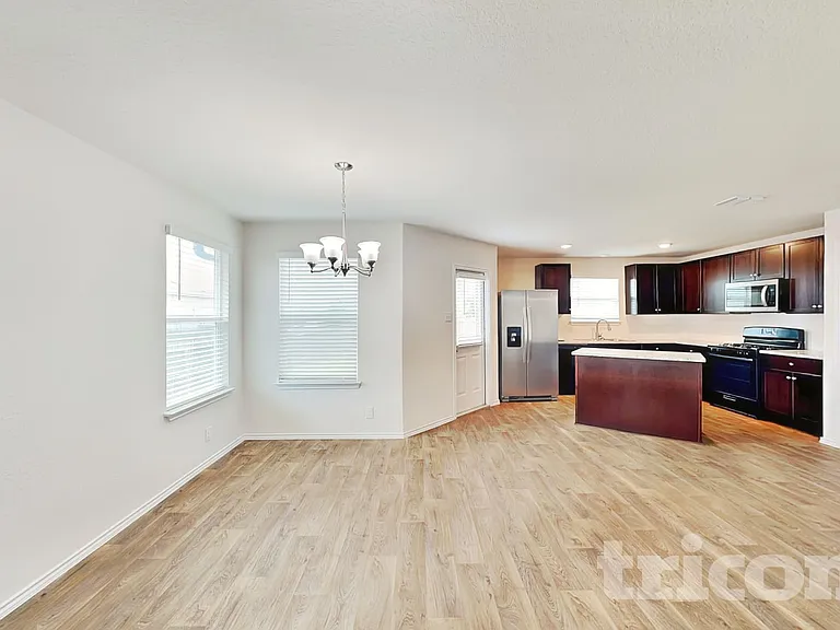 15406 Shortwing — Photo 4