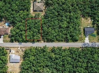 Malauka Pass Ct Lot 7, Ocklawaha, FL 32179