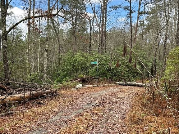 4th image of 309 Knox Creek Rd