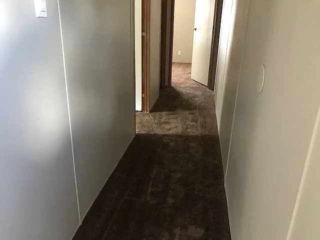 Chaffee Pines — Photo 15