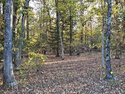 000 State Highway 174, Marionville, MO, 65705