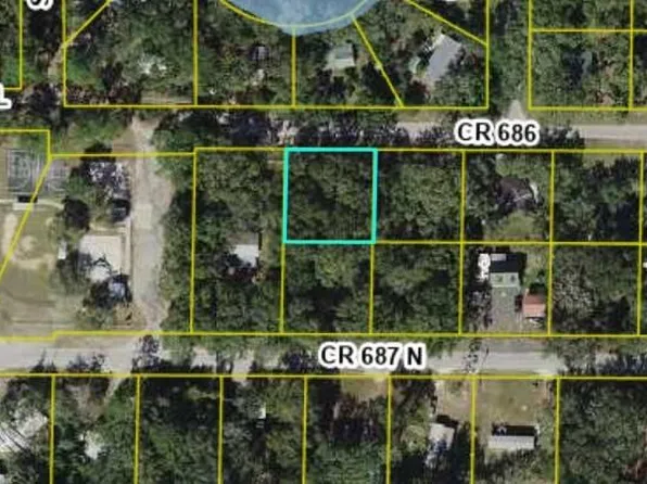 Lot #5 CR 687 N LOT 8, WEBSTER, FL 33597