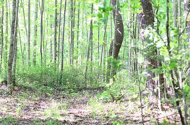 1st image of LOT2 Hosta Ln #2