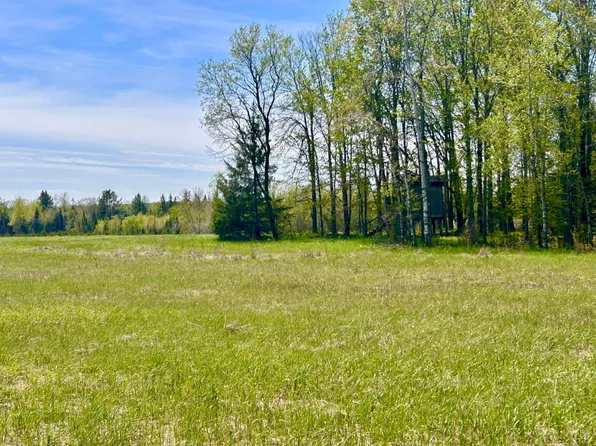 On Hwy #55, White Lake, WI 54491