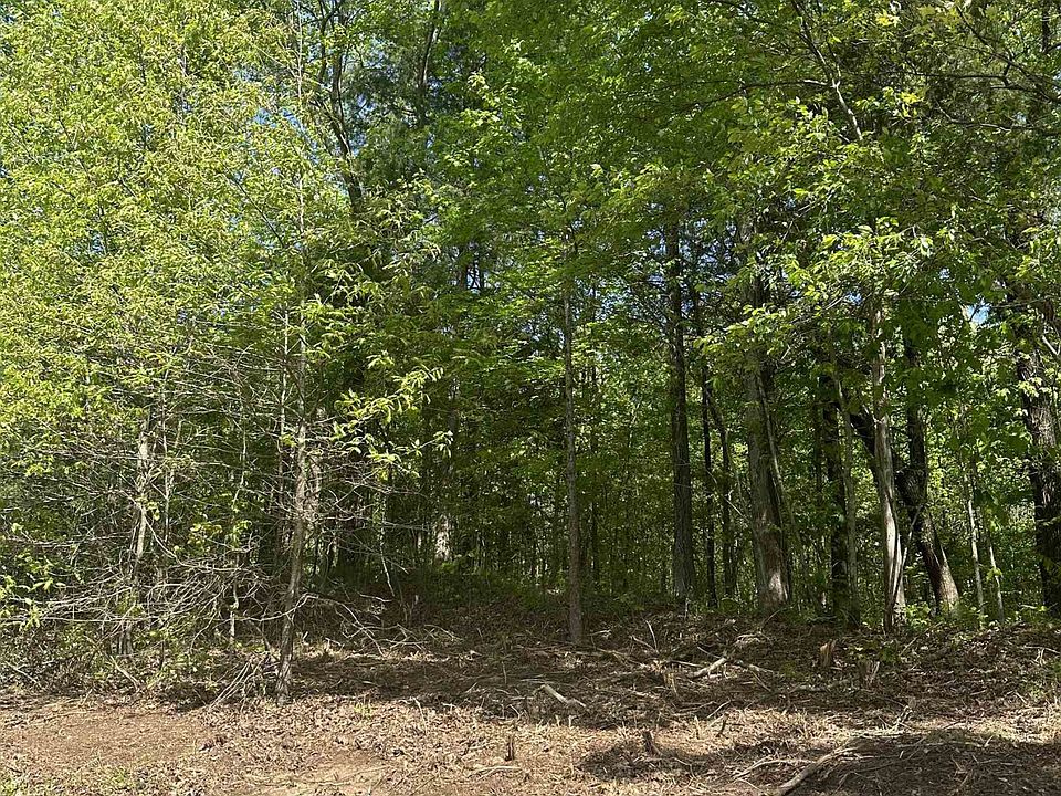 2nd image of Willard Williamson Rd