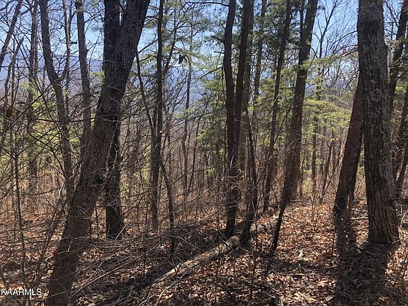 5th image of 2 Chestnut Ridge Ct Lot 2