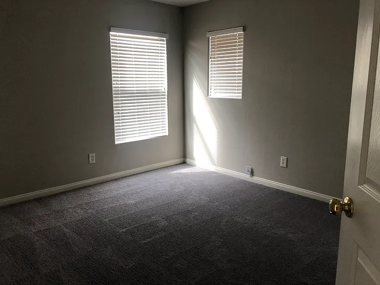 8192 Blue Hope Diamond Ln — Photo 19