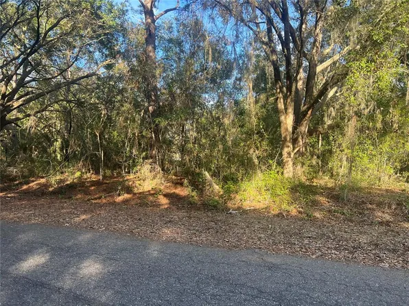 Guava Ter #2, Ocklawaha, FL 32179