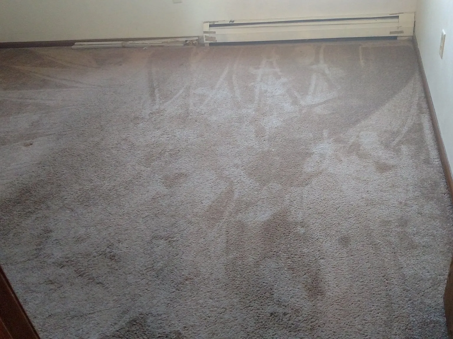 Charming 2 Bed/1 Bath Unit in Holland, MI - $1500/mo — Photo 3