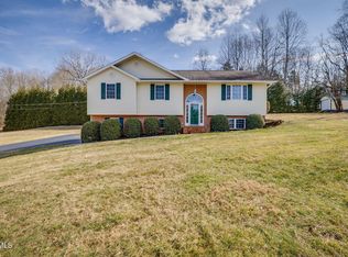 117 Lancaster Rd, Kingsport, TN 37663