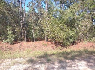 SW 67th Ln, Ocala, FL 34481