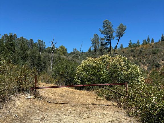 5th image of Sugar Pine Camp Rd