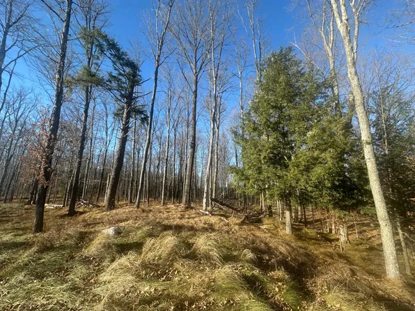 LOT 6 Mud Lake Rd #On, Florence, WI 54121