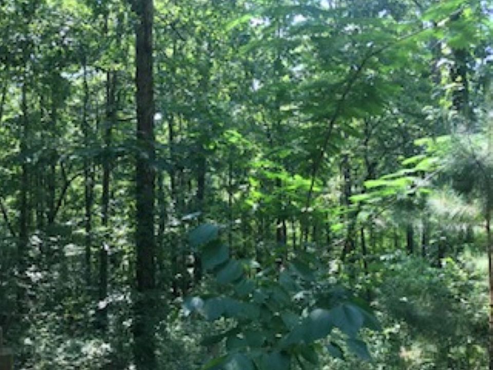 2nd image of 1259 County Road 131