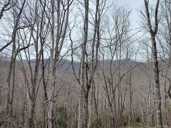 11 Houndog Trl, Bryson City, NC 28713