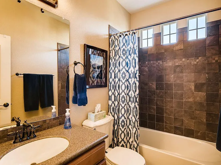 10706 Horseshoe Creek Point — Photo 23