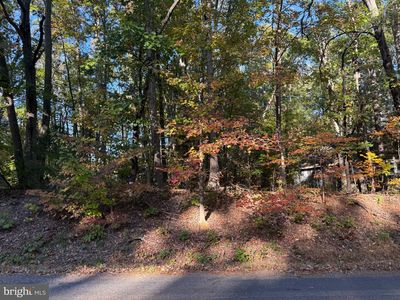 204 Constitution Blvd, Locust Grove, VA, 22508