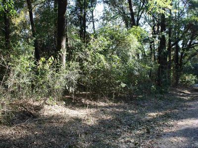 0 Pleasant Grove, Milton, FL, 32570