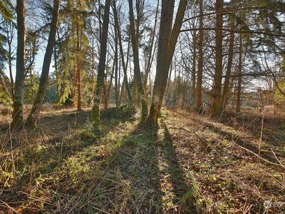 0 XXX Scenic Avenue, Freeland, WA, 98249