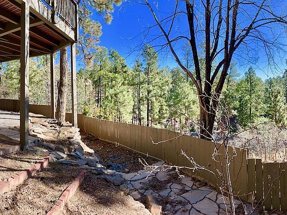 Fenced-in side and back yard