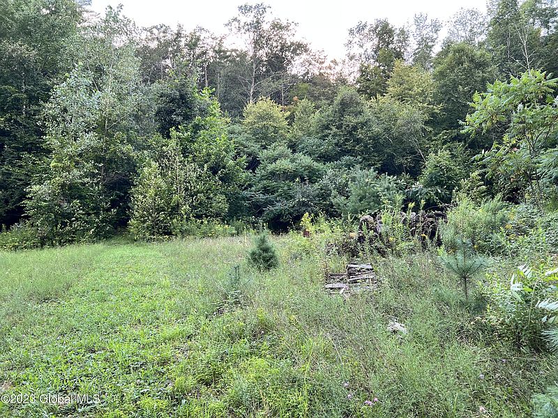2nd image of 0 Black Creek Road
