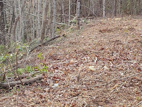 5th image of 75 Honey Bee Ln