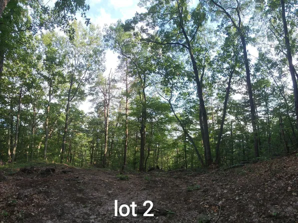 2761 Reese Mountain Rd Lot 2, Elliston, VA 24087