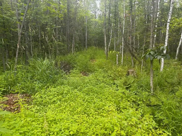 Swamp Rd, Clintonville, WI 54929